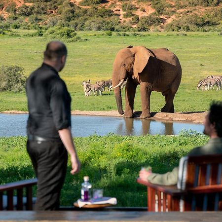 Gorah Elephant Camp Addo Exterior photo