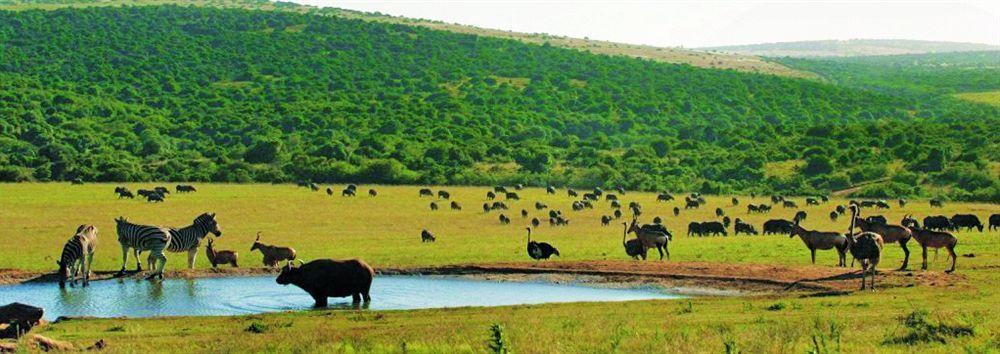 Gorah Elephant Camp Addo Exterior photo