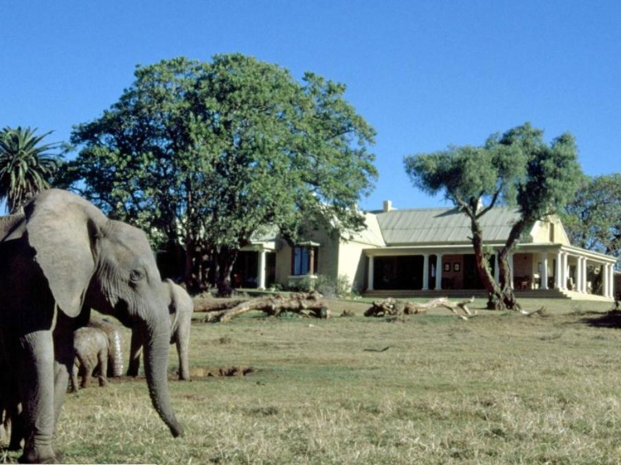 Gorah Elephant Camp Addo Exterior photo